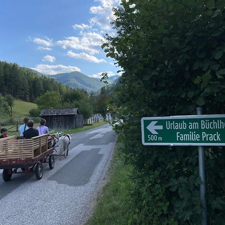 Buechlhof - App. Himmelalm Apartment Lilienfeld Luaran gambar