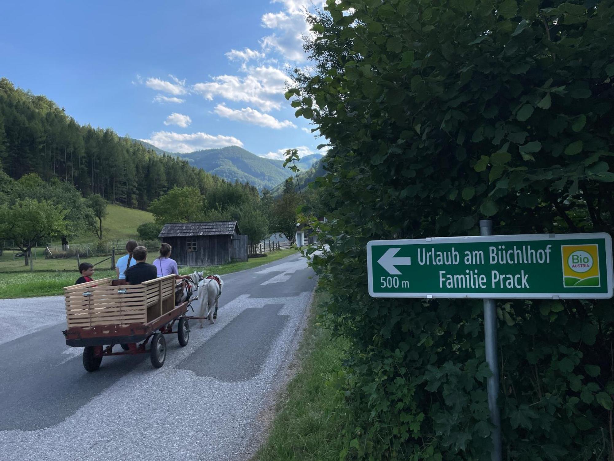 Buechlhof - App. Himmelalm Apartment Lilienfeld Luaran gambar
